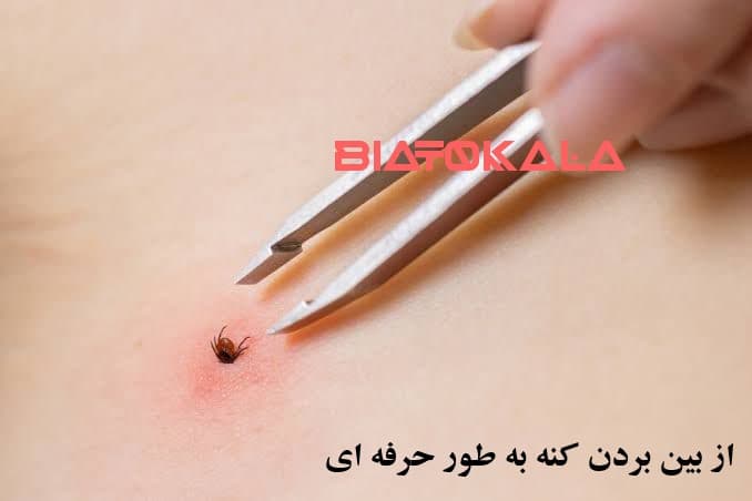 از بین بردن کنه و گال